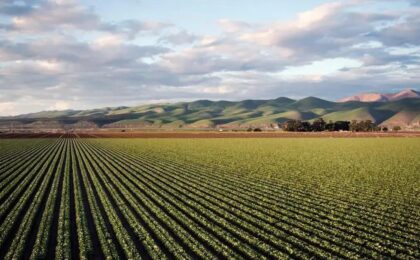 Gates Foundation's Mission: Transforming Global Agriculture