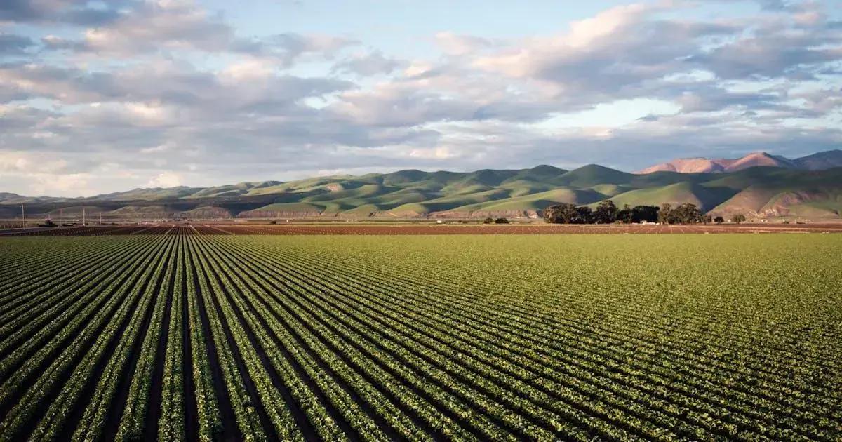 Gates Foundation’s Mission: Transforming Global Agriculture